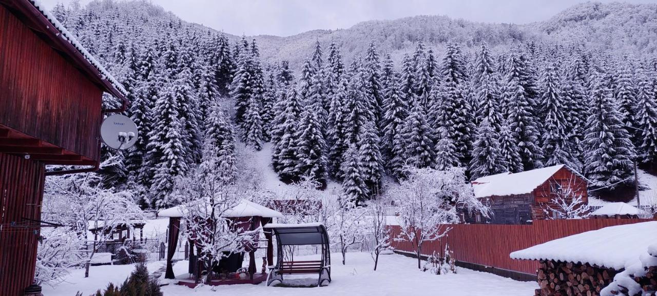 Садиба Квітка Карпат Руська Мокра Екстер'єр фото